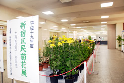 写真：ロビーに飾られた菊と新宿区民菊花展の看板