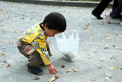 写真：落ち葉を拾う子ども