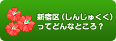 新宿区ってどんなところ？