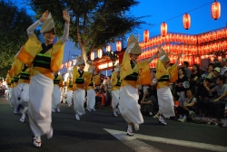 写真：阿波踊り大会（21年7月の神楽坂まつりから）