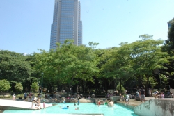 写真：都会のオアシス新宿中央公園ジャブジャブ池