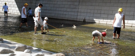 写真:神田川を掃除します