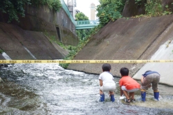 写真：川の流れを体感