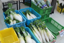 写真：沼田市の野菜