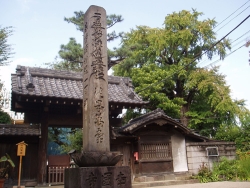 幸國寺山門前から見た雌木