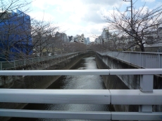 久保前橋から見る神田川の写真