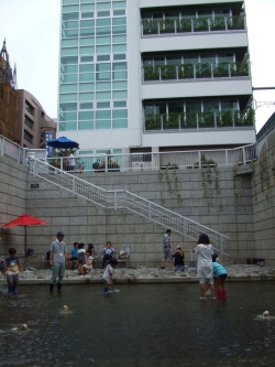 写真：神田川親水テラス