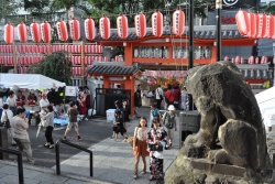 写真：善國寺