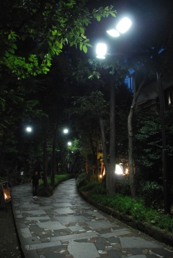 LED公園灯