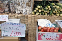 写真:新鮮な東北野菜