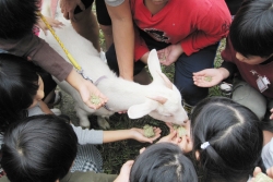 写真:餌やりを楽しむ子どもたち