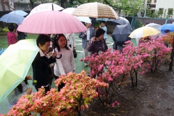 写真:色鮮やかな花を見学