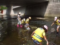 水草の採取