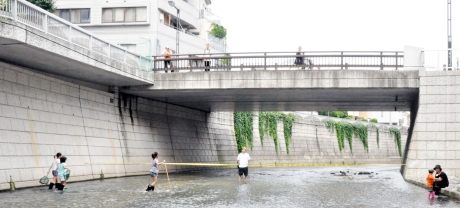 写真:神田川の川床に入って楽しむ子どもたち
