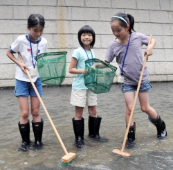 写真:エビを捕まえて喜んでいる子どもたち