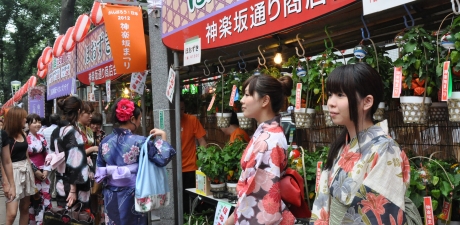 写真:ほおずき市