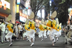 写真：阿波踊りを熱演