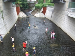 神田川親水テラス周辺