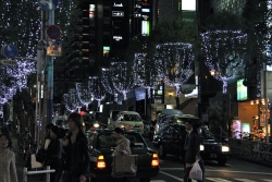 写真：歌舞伎町を明るくするイルミネーション