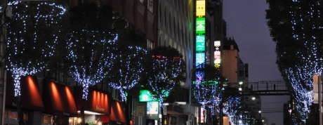 写真:華やかなイルミネーション