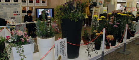 写真:会場の様子
