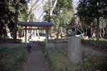 下落合野鳥の森公園