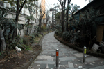 新宿遊歩道公園