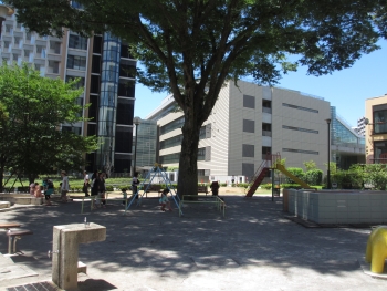 写真:園内の様子