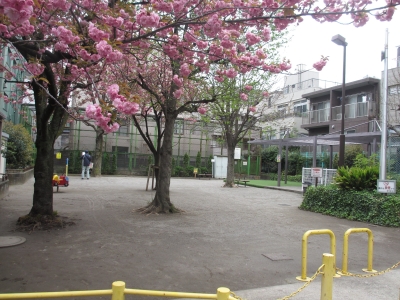 写真：公園の様子