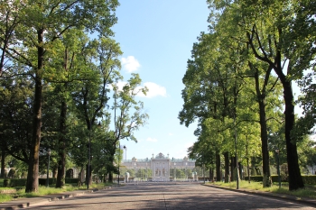 写真：公園周辺の様子