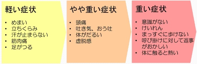 軽い症状(めまい、立ちくらみ、汗が止まらない、筋肉痛、足がつる)、やや重い症状(頭痛、吐き気、おう吐、体がだるい、虚脱感)、重い症状(意識がない、けいれん、まっすぐに歩けない、呼び掛けに対して返事がおかしい、体に触ると熱い)