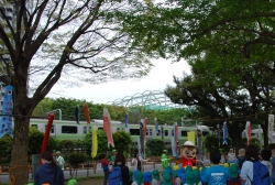 写真：西戸山公園のこいのぼり