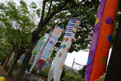 写真：西戸山公園のこいのぼり