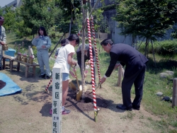 写真：記念植樹を植える吉住区長