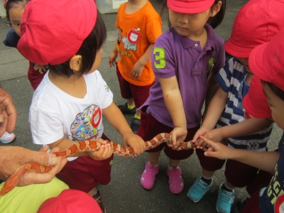 【ふれあい動物園】画像