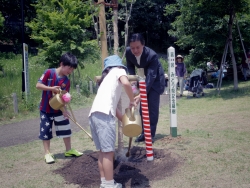 写真：子供達と植樹したヤマボウシに水やり