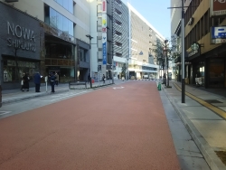 写真:カラー舗装された区道
