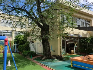 大久保幼稚園