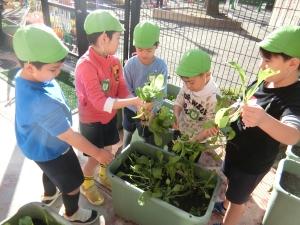 みんなのアルバム花園幼稚園画像3