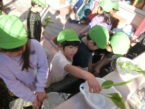 みんなのアルバム花園幼稚園画像4