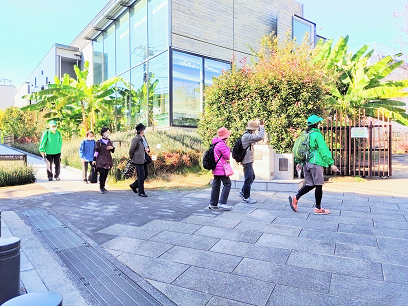 写真：いきいきウオーク新宿の様子