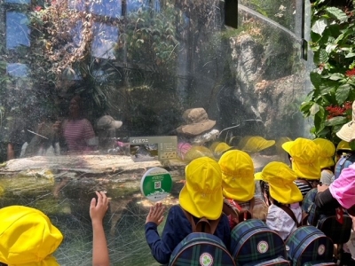 上野動物園遠足（5歳児）画像