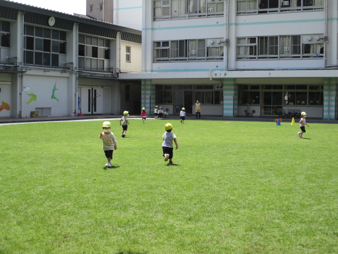 校庭の芝生の写真