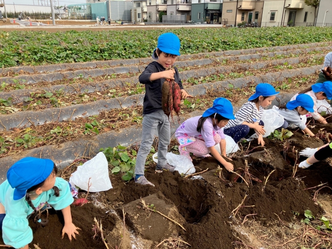 3歳児　ほし組　新宿中央公園へ遠足画像