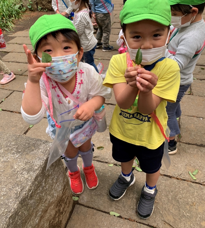 おとめ山公園・薬王院の散策画像