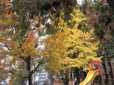 花園公園(園庭）の様子画像