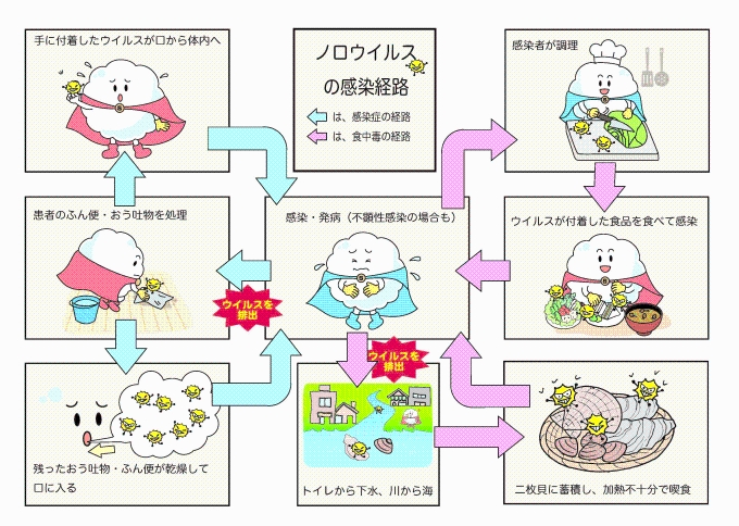 ノロウイルスの感染経路