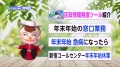 新宿区広報番組「しんじゅく情報局」（令和5年12月25日～令和6年1月4日）サムネイル画像