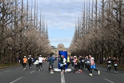 いちょう並木折り返し地点の写真