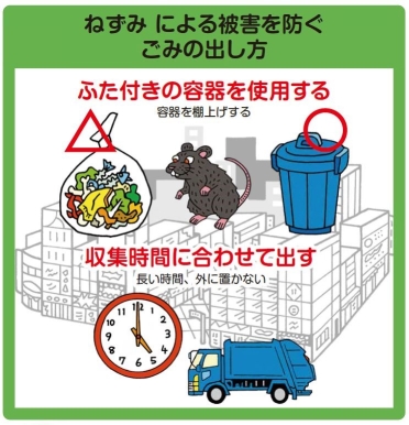 ネズミによる被害を防ぐごみの出し方のイラストです